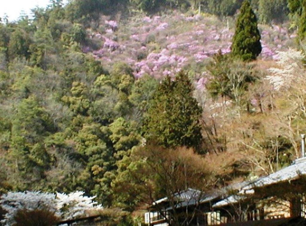 Takao Kanko Hotel Kiotó Kültér fotó